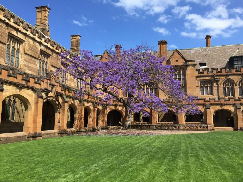 University of Sydney - Sheet3
