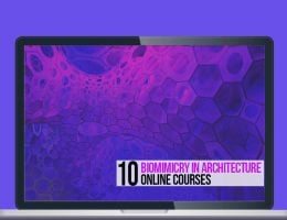 10 Architectural Online Courses For Biomimicry in Architecture - Rethinking The Future