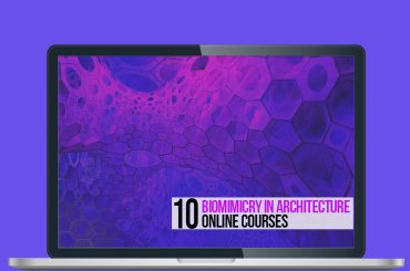10 Architectural Online Courses For Biomimicry in Architecture - Rethinking The Future