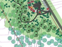 Unconventional Sources of Inspiration For Landscape Architects - Rethinking The Future