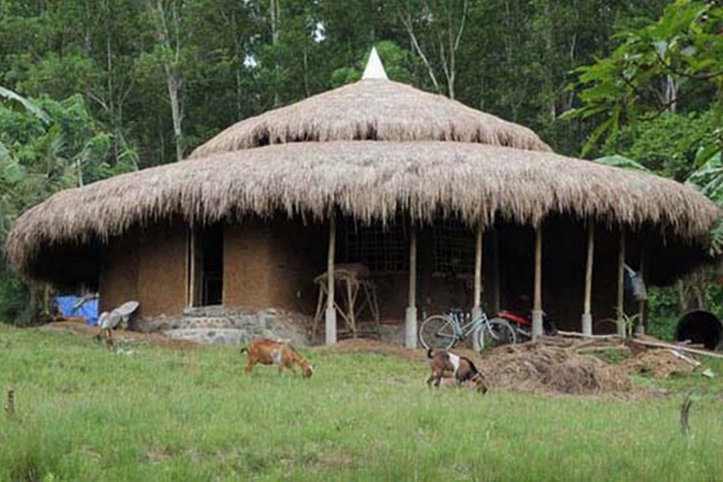 ROOTS OF HEALTH MUD HOUSE