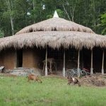 ROOTS OF HEALTH MUD HOUSE