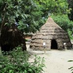 VILLAGE MUSUEM - Sheet2