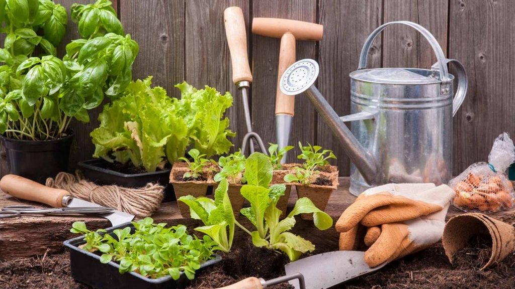 HOME GARDENING - Sheet1