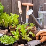 HOME GARDENING - Sheet1