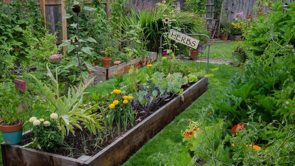 HOME GARDENING - Sheet3
