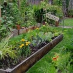 HOME GARDENING - Sheet3