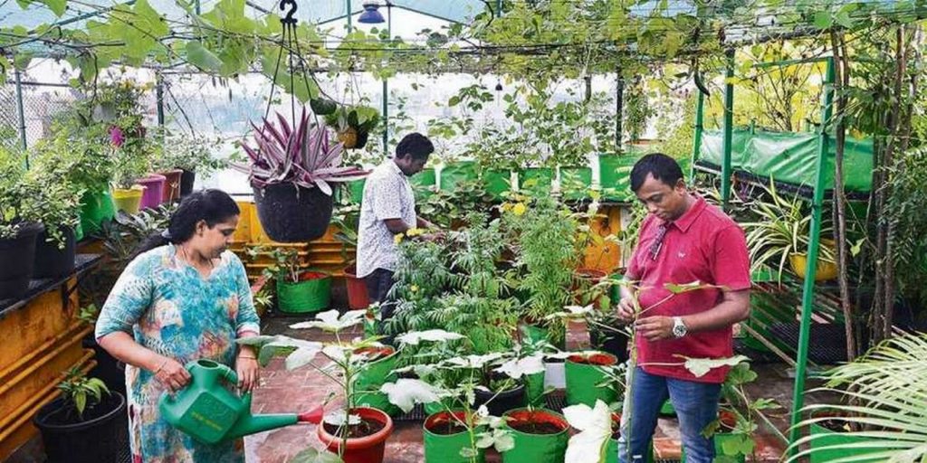 Urban Farming