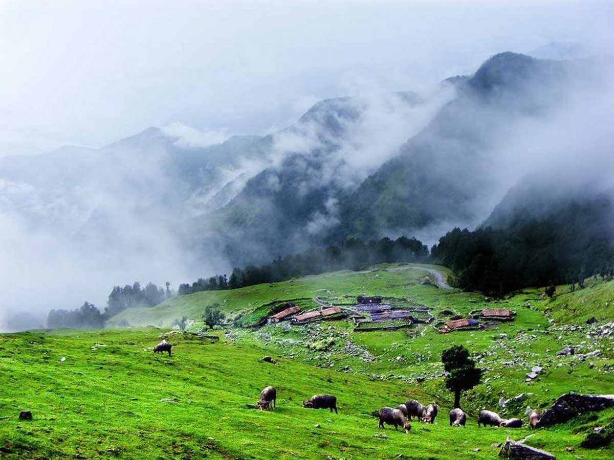 CHOPTA VALLEY, UTTARAKHAND - Sheet1