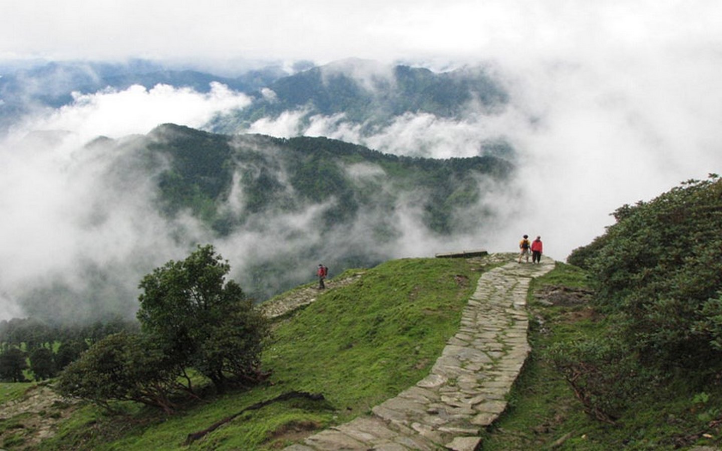 CHOPTA VALLEY, UTTARAKHAND - Sheet2