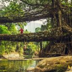 MEGHALAYA - Sheet2