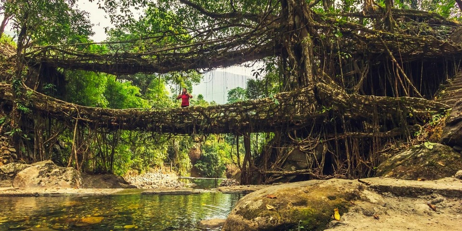 MEGHALAYA - Sheet2