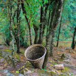 MEGHALAYA - Sheet3