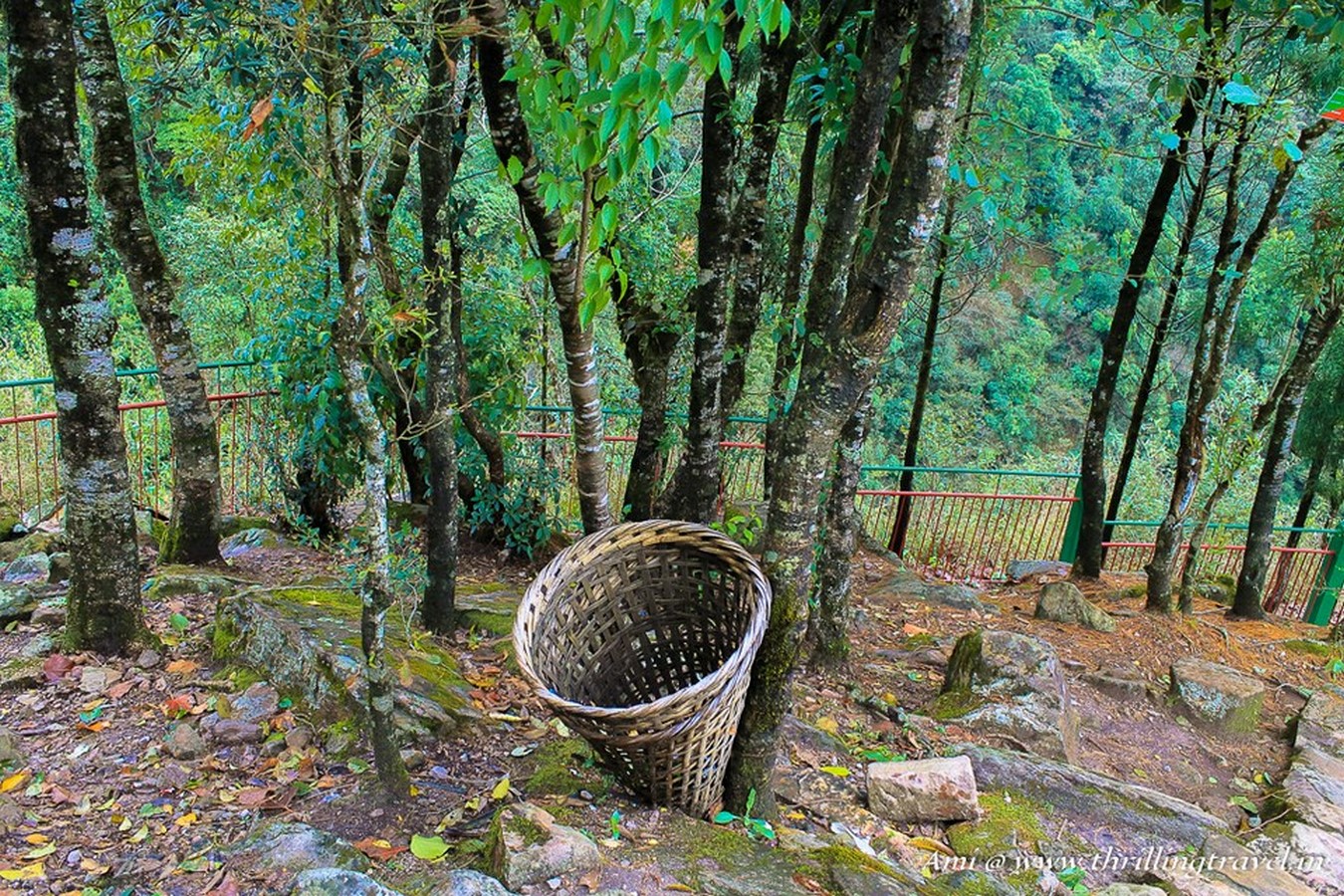 MEGHALAYA - Sheet3