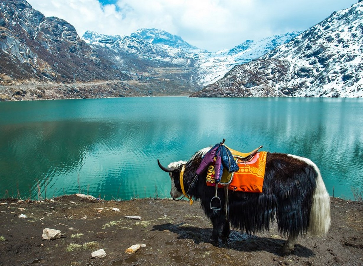 SIKKIM - Sheet4