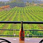 Sula Vineyards AgroIndustries - Sheet1