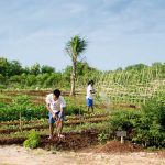 Sumba hospitality foundation school - Sheet3