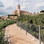 Thermal Orchards, Caldes de Montbui, Spain - Sheet2