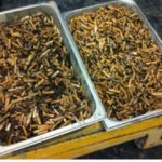 machine a rouler cigarette Metal cigarette roller Smoking