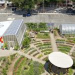 EDIBLE SCHOOLYARD NYC AT P.S 216 - Sheet1