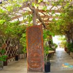 Old Belize - Sheet4