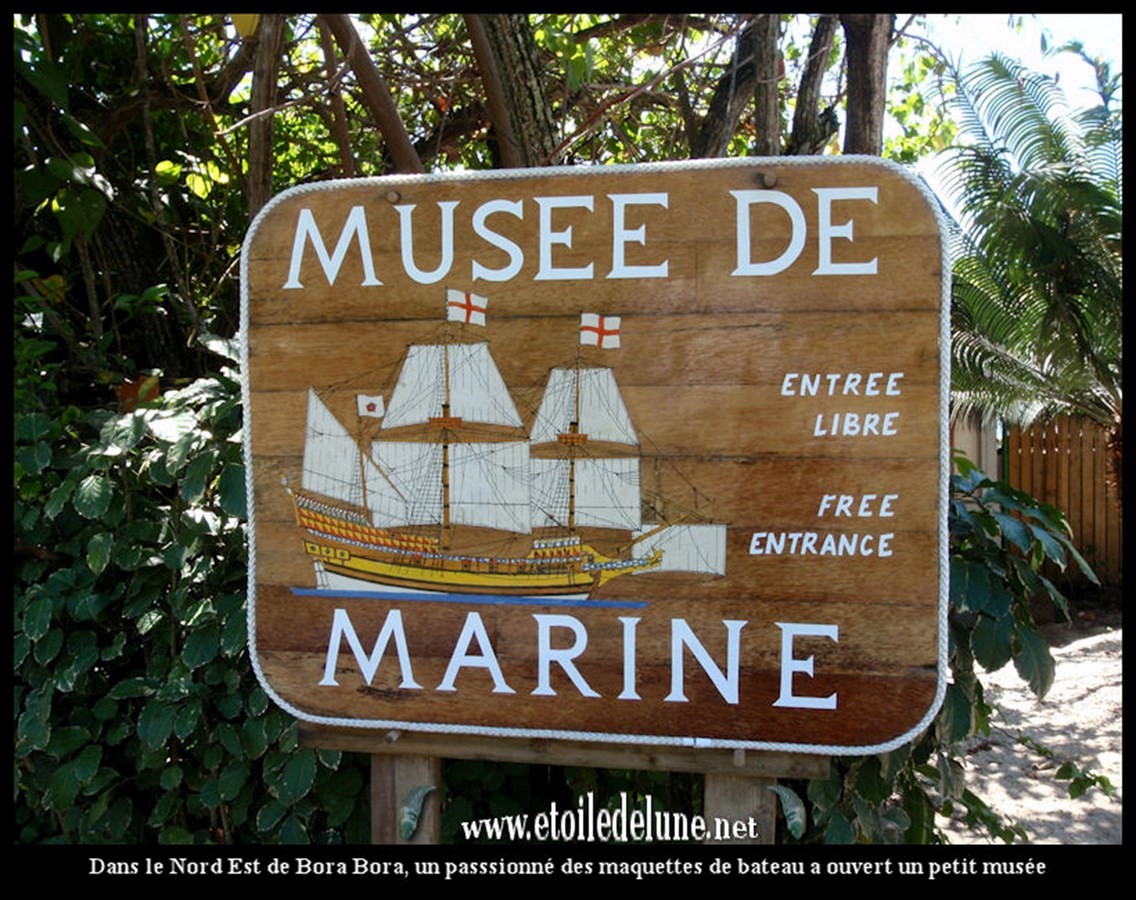 Marine museum- Sheet1