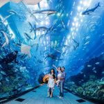 Dubai Mall - Sheet1