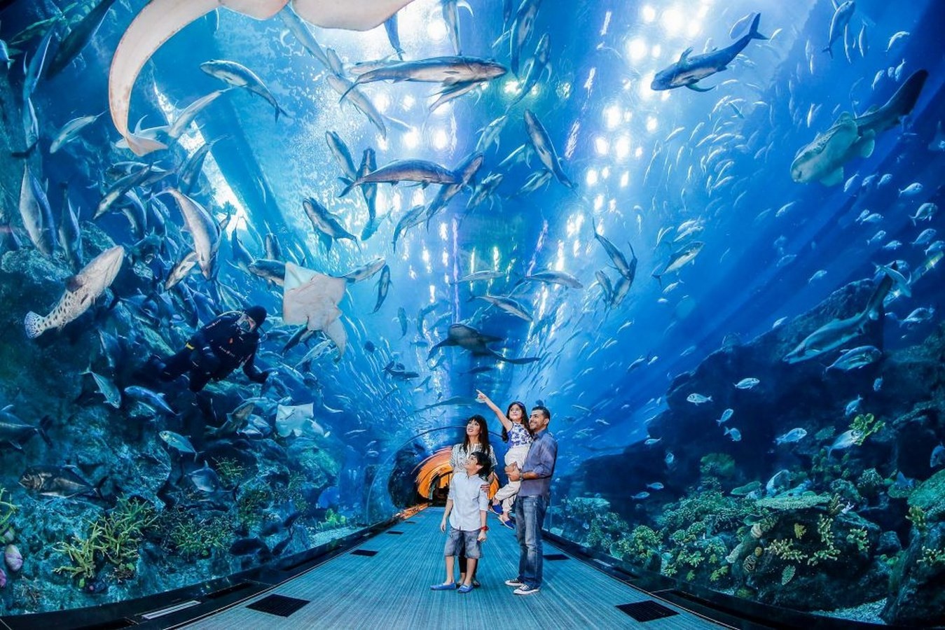 Dubai Mall - Sheet1