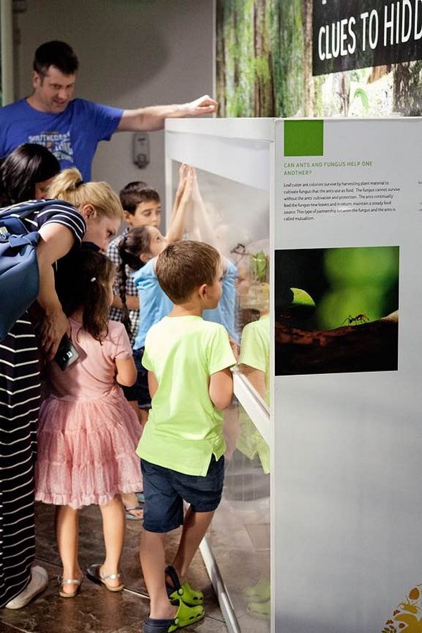 Dubai Places - The Green Planet - Sheet3