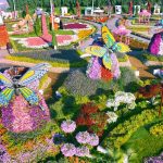 Dubai Miracle Garden- Sheet3