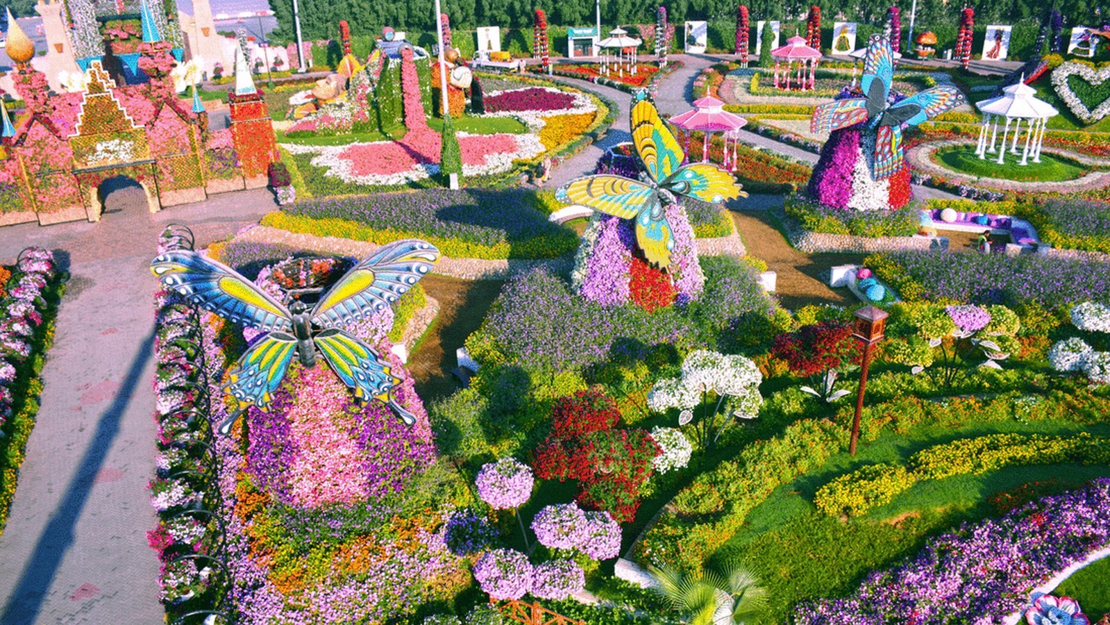 Dubai Places - Dubai Miracle Garden- Sheet3