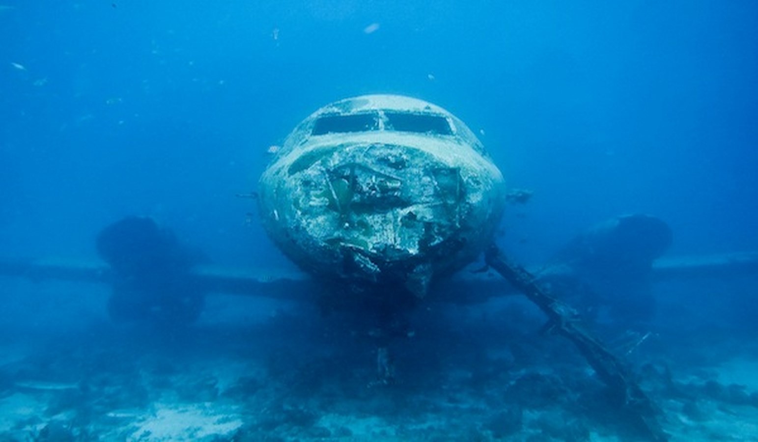 Aruba’s Dive sites - Sheet2