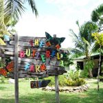 The Butterfly Farm - Sheet1
