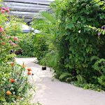 The Butterfly Farm - Sheet2