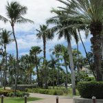 Wilhelmina Park - Sheet1