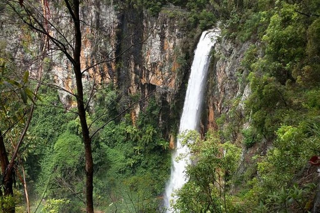 Springbrook National Park - Sheet1