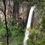 Springbrook National Park - Sheet1
