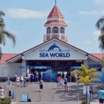 Sea World - Sheet1