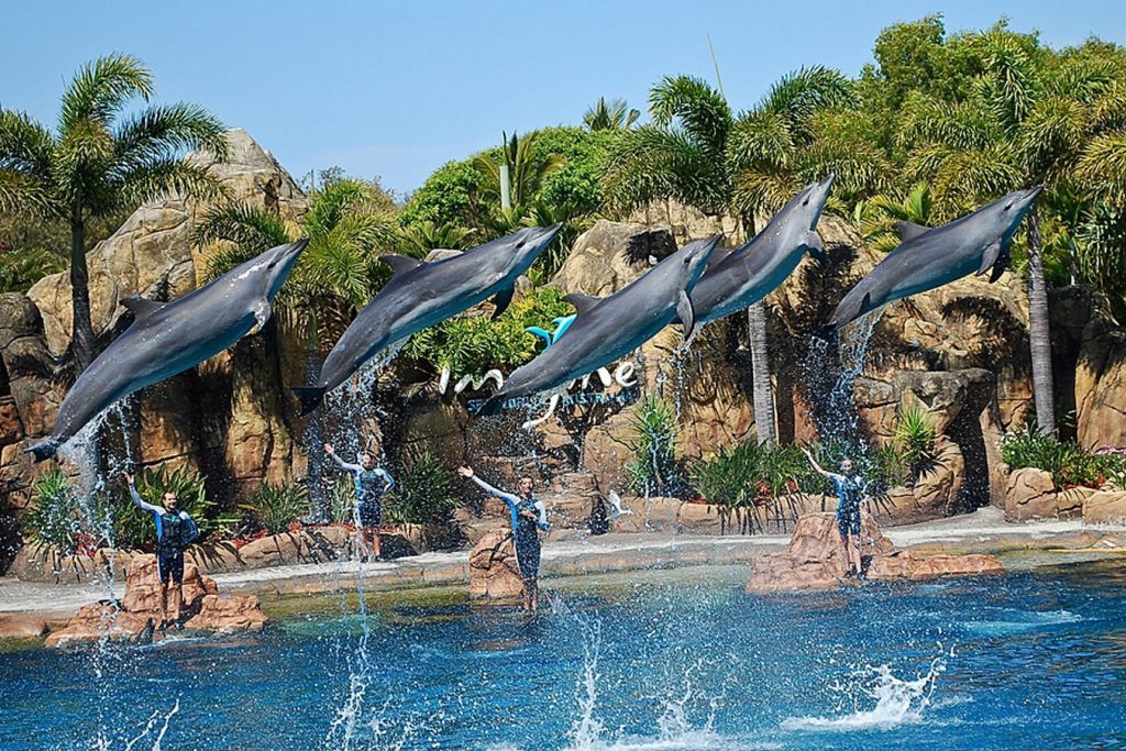 Sea World - Sheet3