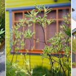 Chartreuse House - Sheet6