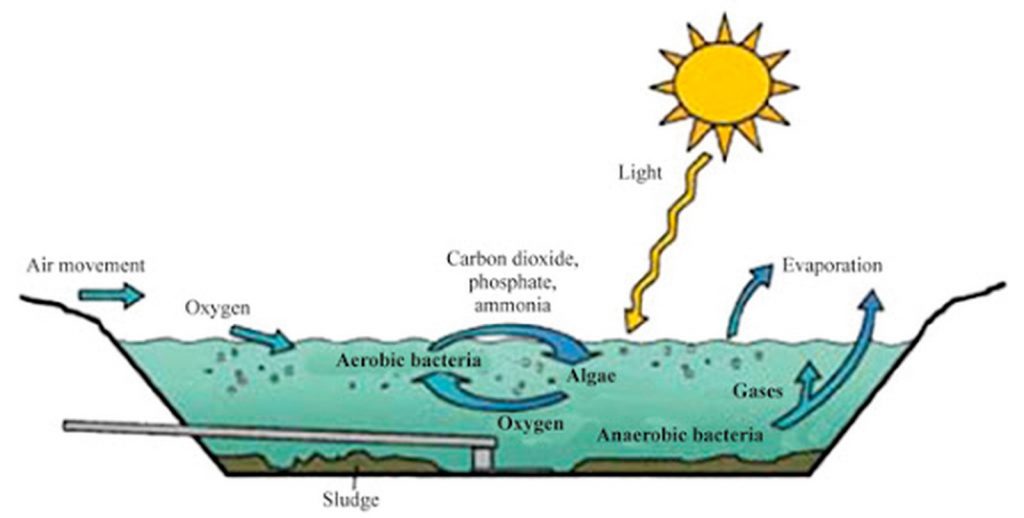 Wetland treatment - Sheet1