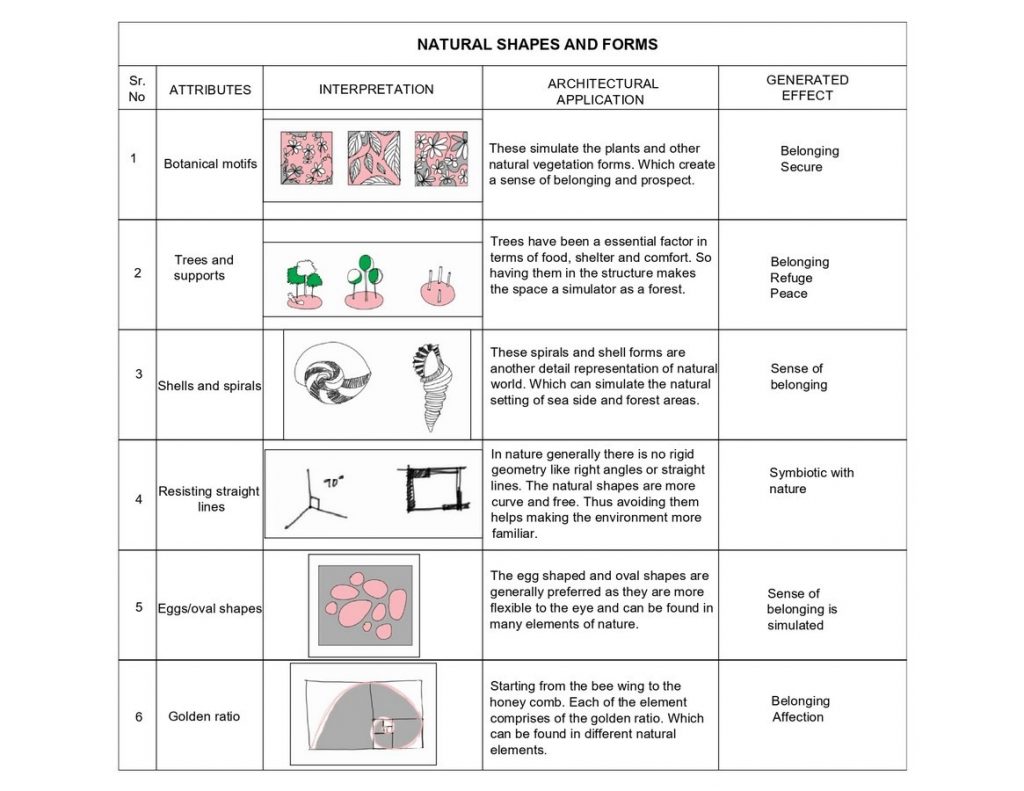 NATURAL SHAPES AND FORMS