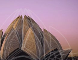 10 Stunning Examples of Biomimicry in Architecture