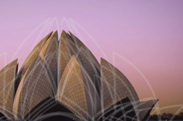 10 Stunning Examples of Biomimicry in Architecture