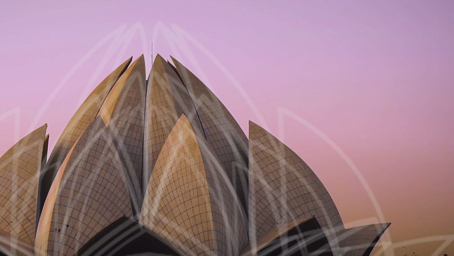 10 Stunning Examples of Biomimicry in Architecture