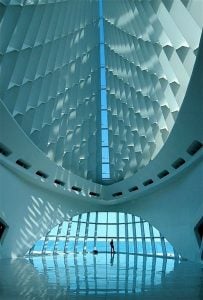 10 Stunning Examples of Biomimicry in Architecture - RTF