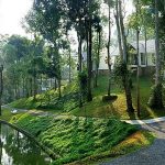 AMANA PLANTATION RESORT