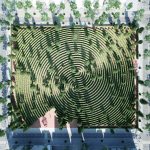 10 Innovative Conceptual Public space designs Post-Pandemic-Parc de la Distance -1