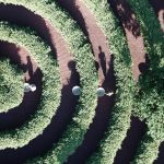 10 Innovative Conceptual Public space designs Post-Pandemic-Parc de la Distance -3