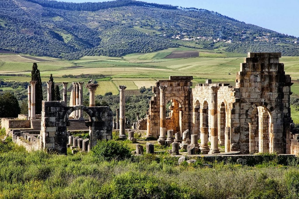 Volubilis - Sheet1